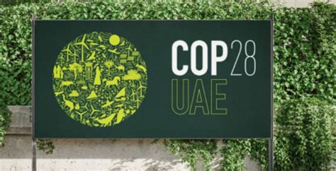 COP28 Highlights | VectorGlobe Leads Climate Innovation