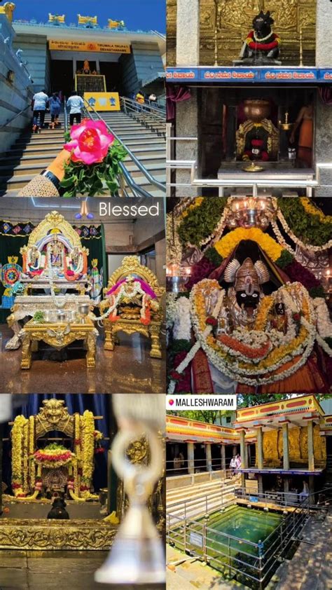 ttd temple kadu malleswaram contact number