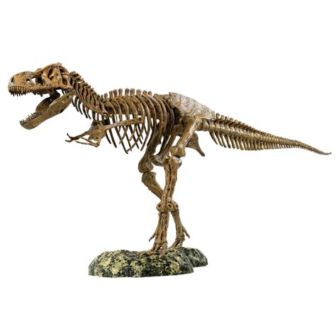 Elenco T-Rex Skeleton - Walmart.com - Walmart.com