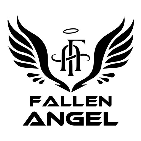 Fallen Angel - Discounted Valeting & Detailing Products