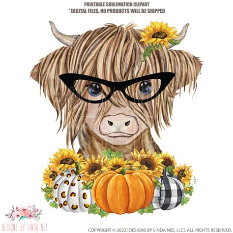 Fall Pumpkins And Sunflowers Highland Cow Png Halloween Cow Digital