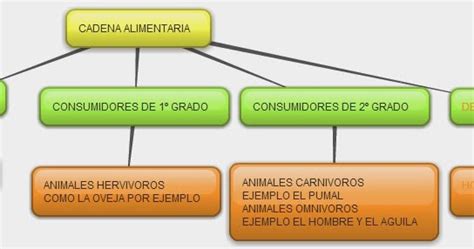 Arriba 63 Imagen Mapa Mental Sobre La Cadena Alimenticia Abzlocal Mx