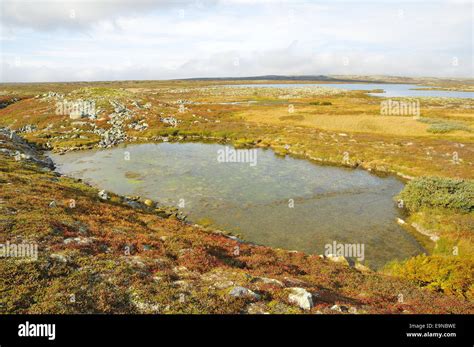 Lebensraum Nationalpark Hi Res Stock Photography And Images Alamy