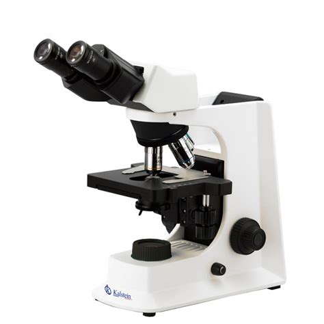 Laboratory microscopes: types, uses, and applications - Kalstein