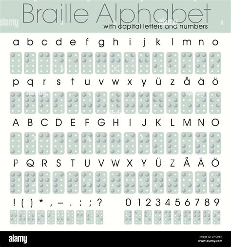 Alfabeto Braille Con Letras Mayúsculas Y Números Imagen Vector De Stock