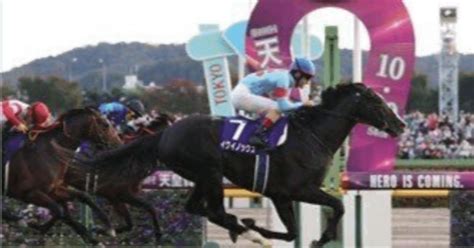 天皇賞秋g1 中央競馬 東京競馬予想 20241027｜ひまわり厨フォロバ100％