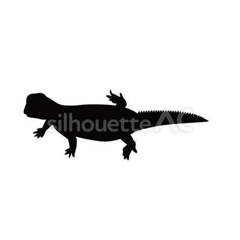 iguana 119706 - Free Download - silhouetteAC