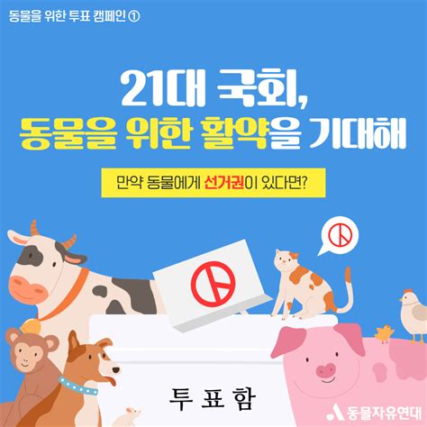 동물자유연대 정책입법 동물을 위한 투표 캠페인 ① 21대 국회 동물을 위한 활약을 기대해