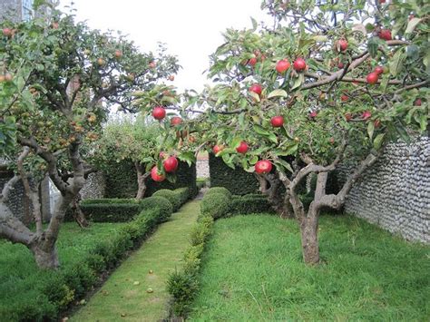 Cley Norfolk Orchard Garden Apple Garden Fruit Tree Garden