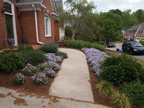 Emerald Blue Creeping Phlox