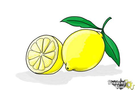 How To Draw A Lemon Drawingnow