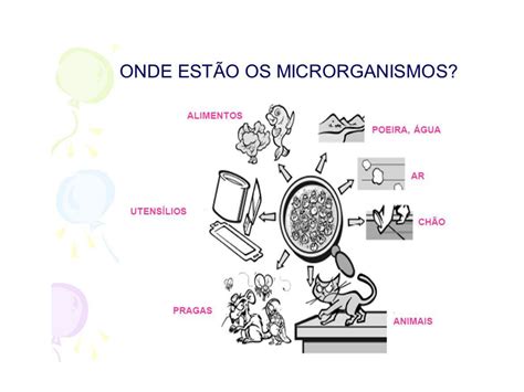 MICROBIOTA NORMAL MICROBIOMA DO CORPO HUMANO 2019 Microbiologia