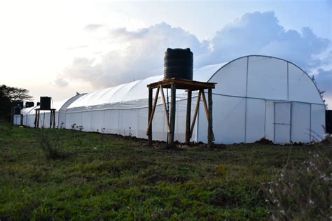 Greenhouse Construction Cost In Kenya Grekkon Ltd