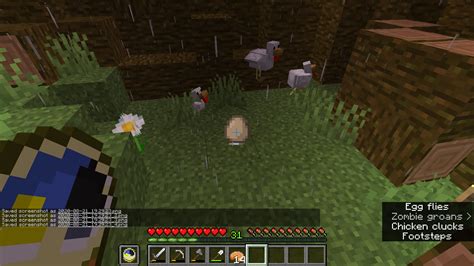 Minecraft Chicken Egg