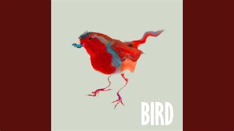 Paris Bird Youtube