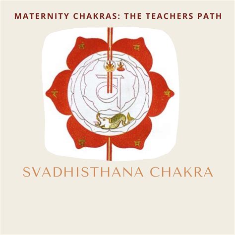 Maternity Chakras Advanced Pregnancy Yoga Teacher Training