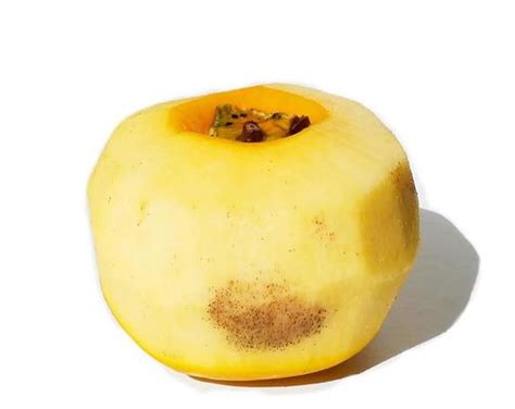 how to know if persimmon is bad