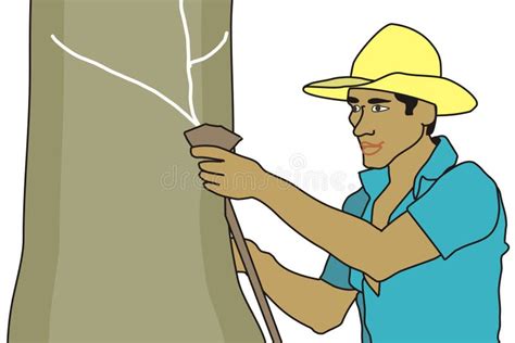 Rubber Tapper Stock Illustration Illustration Of South