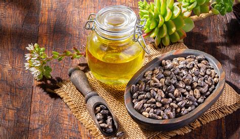 Castor Oil What Is Nutritional Value Benefits Uses And Side Effects