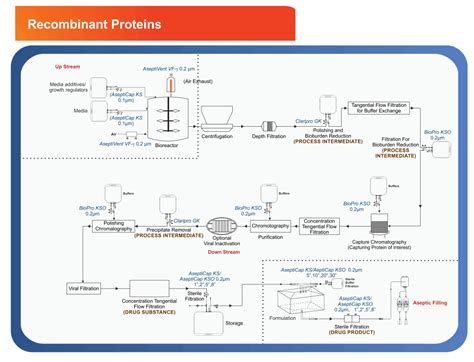 Recombinant Proteins