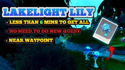 Most Efficient Route Lakelight Lily Location Furina Ascension