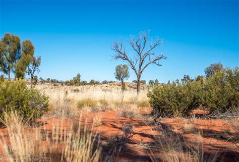 Kata Tjuta Mount Olga Walpa Gorge Valley Of The Winds Flickr