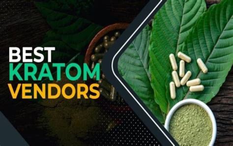 Kratoms Evolution From Ancient Remedy To Modern Wellness Phenomenon