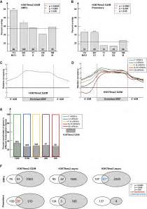 Linking Cell Cycle To Histone Modifications SBF And H2B