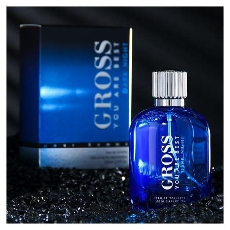 Туалетная вода мужская Gross Dark Night, 100 мл Christine Lavoisier ...