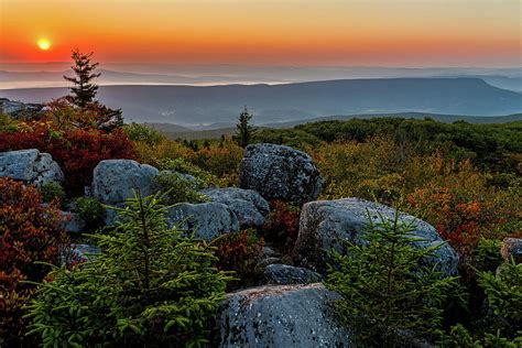 Autumn Sunrise In Dolly Sods Photograph By Lori Coleman Fine Art America