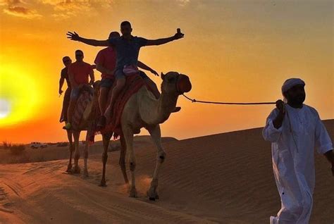 Camel Ride Dubai - Camel Safari Dubai