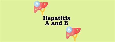 The Abcs Of Viral Hepatitis Understanding Hepatitis A And B Safe Access