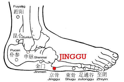 Jinggu Bl64 Nomenclature Location Function Indication Method Acupuncture Nepal