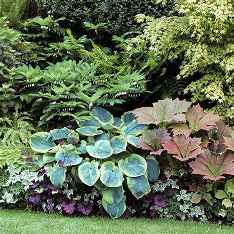 Garden Border Plants Shade - Diy Projects