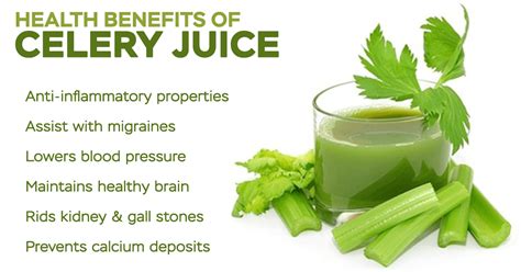 benefits of celery juice