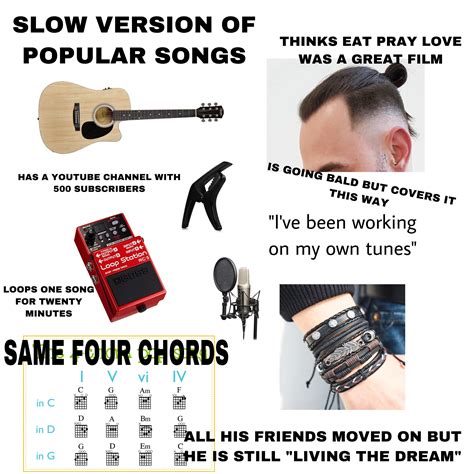The “I should’ve been famous” acoustic covers starter pack : r/starterpacks