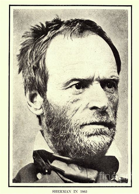 Portrait Of William Tecumseh Sherman Q3 Photograph By Historic Illustrations Pixels