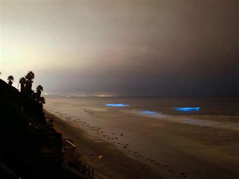 Stunning Bioluminescent Waves - Angelic Hugs