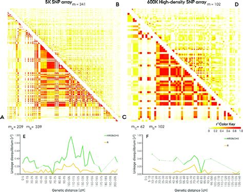 Pairwise Linkage Disequilibrium Ld R Across The R Rye Chromosome