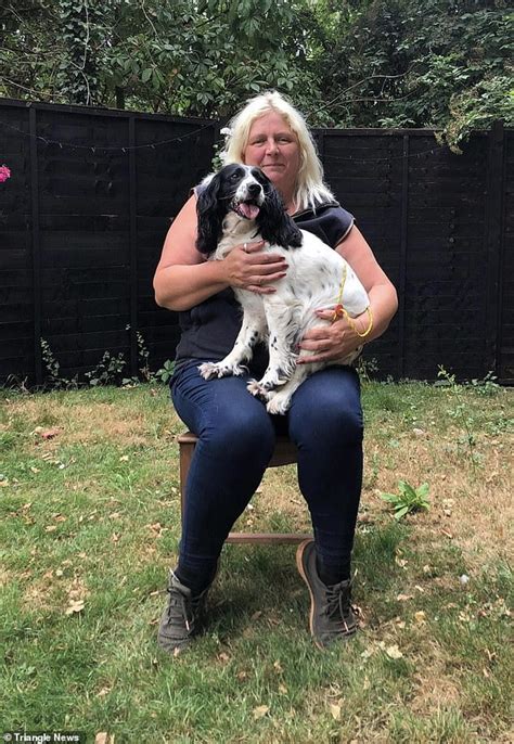 Owner Is Reunited With Her Beloved 11 Year Old Spaniel Seven Years