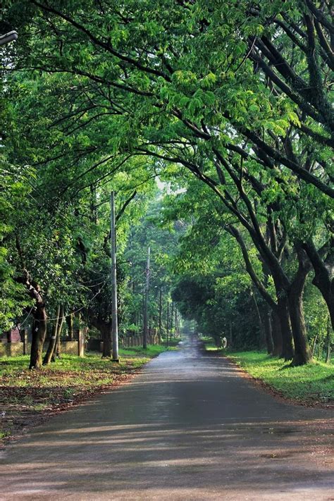 Jahangirnagar University | Beach background images, Dslr background ...