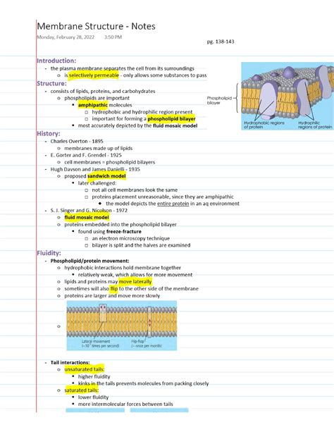 Membrane Structure Notes Bio152 Studocu