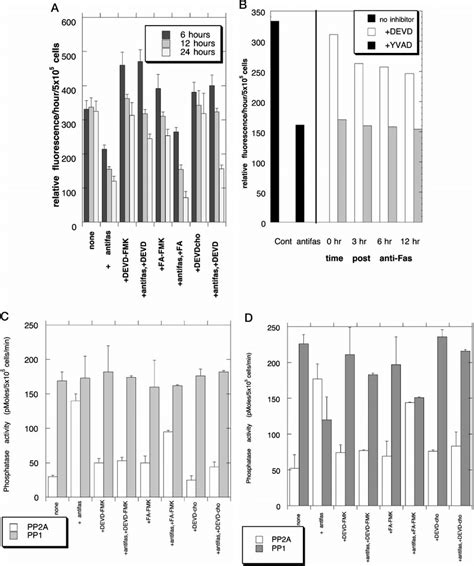 The Effect Of Caspase 3 Inhibitors On Anti Fas Induced Apoptosis 5 10