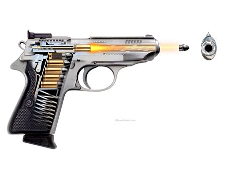 product illustration  behance