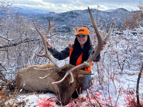 Colorado Elk Season 2024 Draw Dates Viki Almeria