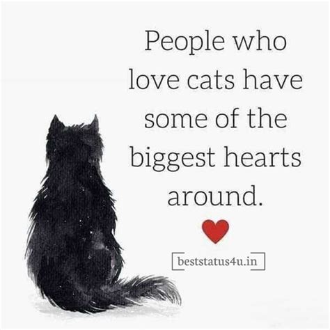 {100+} Best Quotes for Cat Lovers | (Adorable) Whatsapp status for Cats