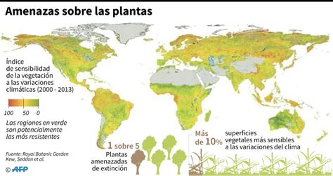 El 21 de las plantas están en peligro revela el primer censo mundial