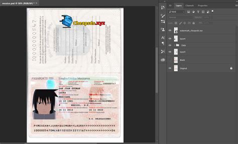 Mexico Passport Psd Format In Fully Editable Template Psd Templates