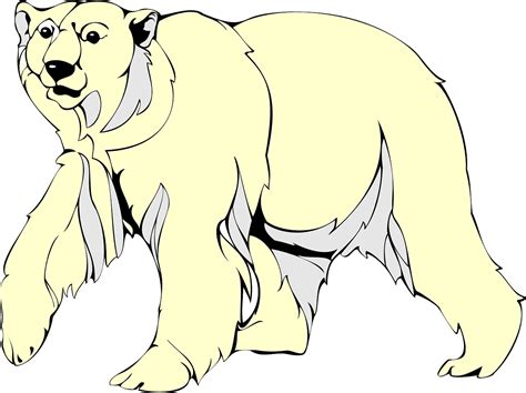 Free Polar Bear Vector Art Download 780 Polar Bear Icons And Graphics