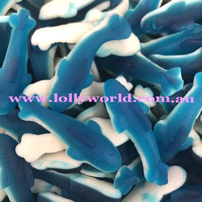 Blue Gummy Shark at Lollyworld a World of Lollies